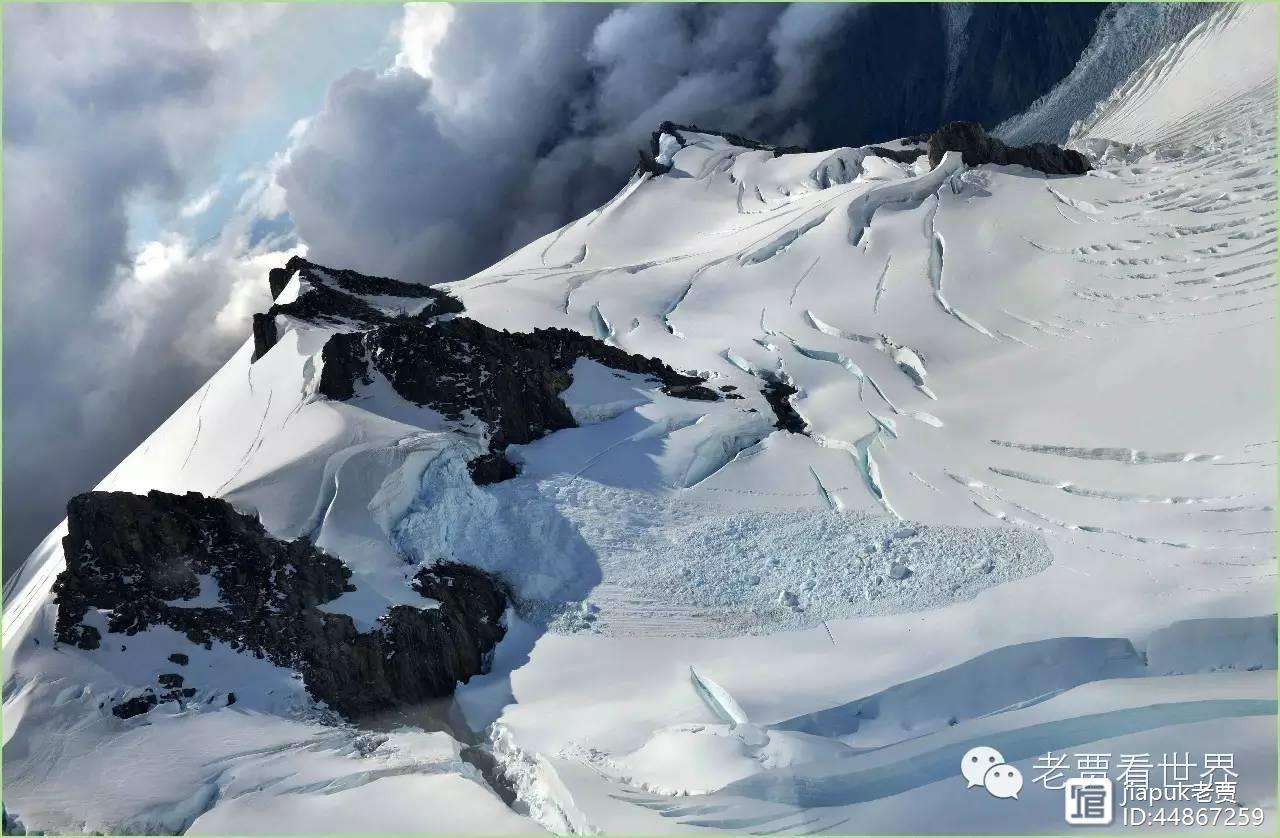 加拿大队成功击败纽西兰引领比赛风向的简单介绍